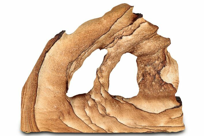 Wide Picture Sandstone Arch - Arizona #331144